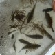 親子料理教室（平成22年10月）魚の竜た揚げ・みぞれあえ・ゆでもち