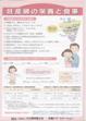 s_leaflet_ninpu